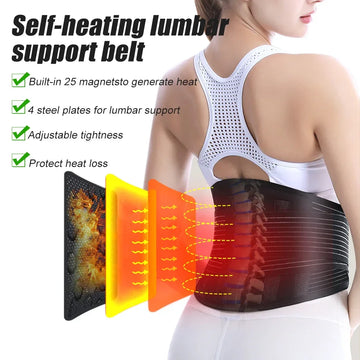 Everwell™ Back Support Belt